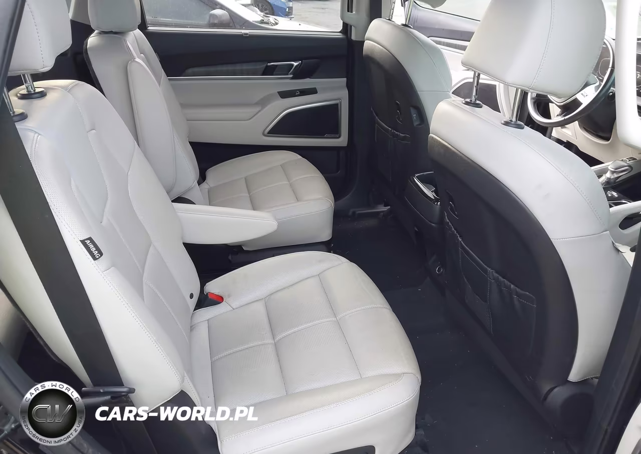 2023 Kia Telluride Ex VIN:5XYP34GC8PG350820 - 8