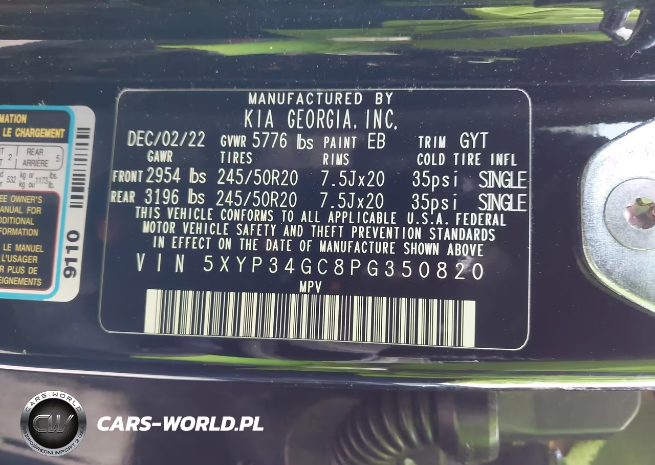 2023 Kia Telluride Ex VIN:5XYP34GC8PG350820 - 9