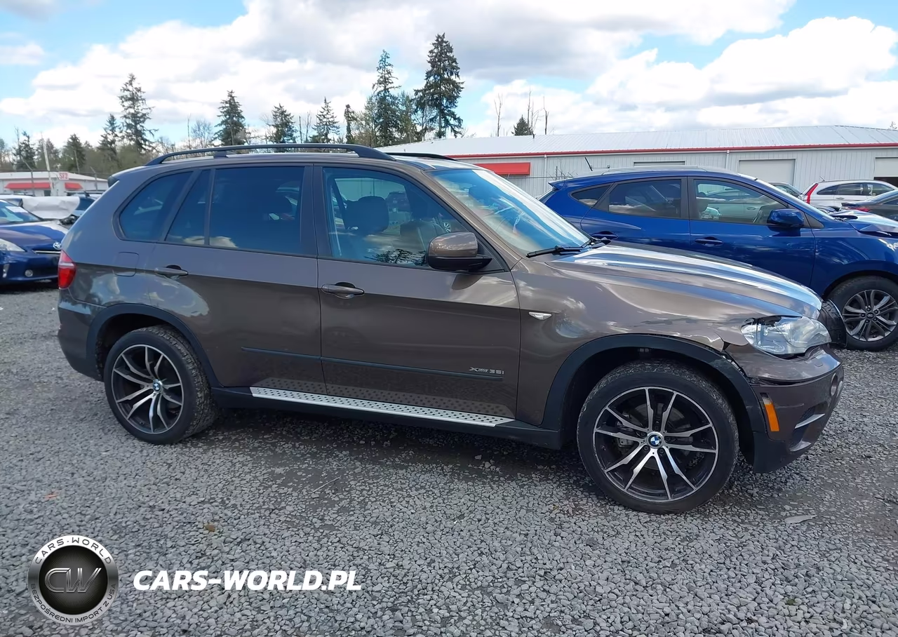 2012 BMW X5 xDrive35I-xDrive35I Premium-xDrive35I Sport Activity VIN:5UXZV4C58CL989562 - 13