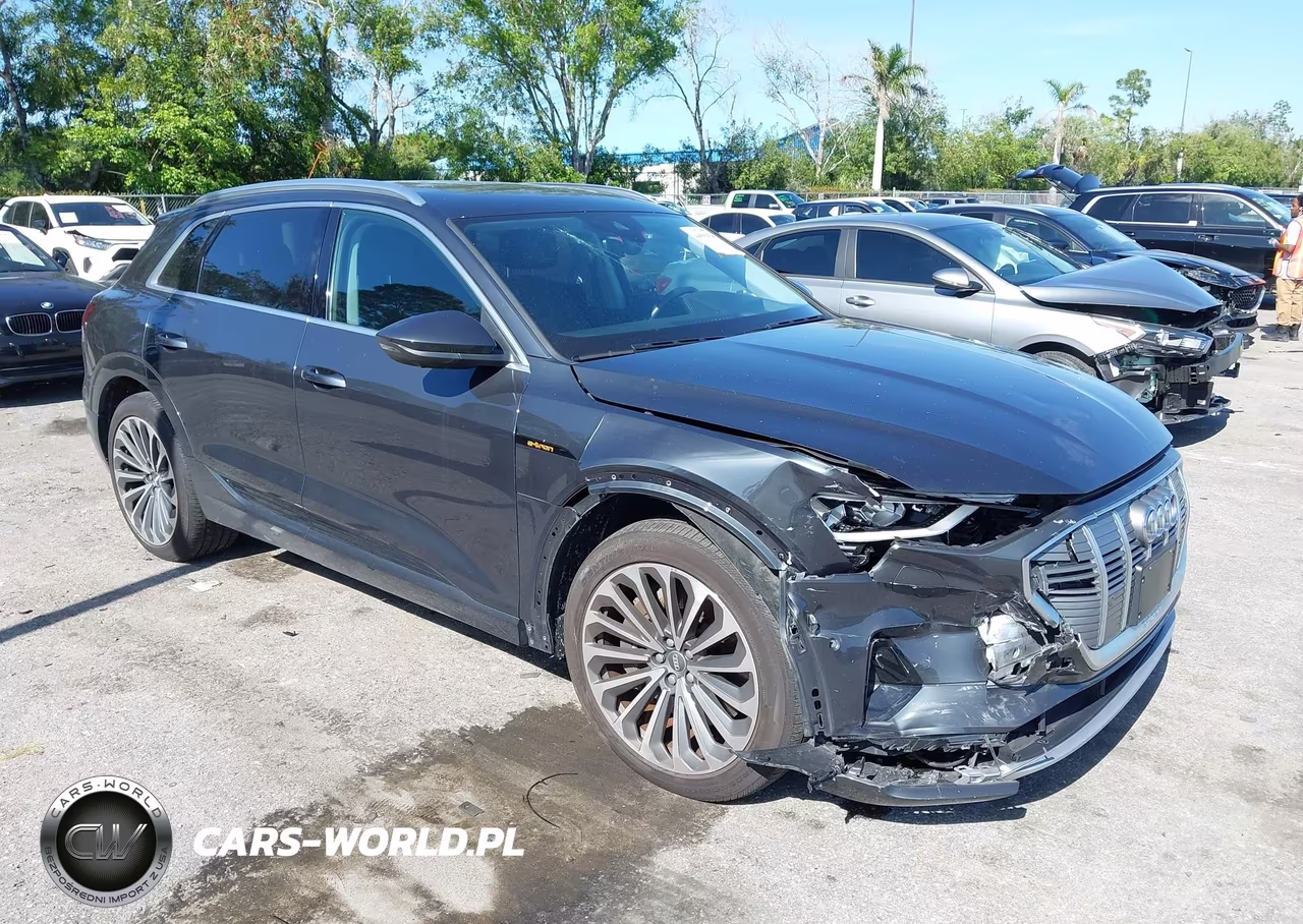 2019 Audi E-Tron Premium Plus