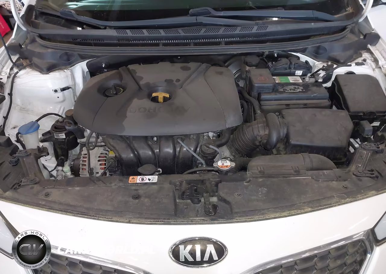 2014 Kia Forte Lx VIN:KNAFK4A67E5076000 - 10