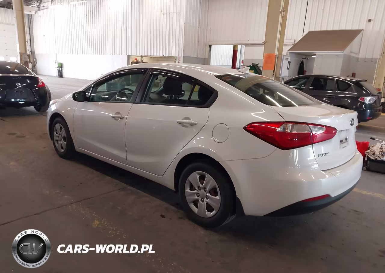 2014 Kia Forte Lx VIN:KNAFK4A67E5076000 - 3