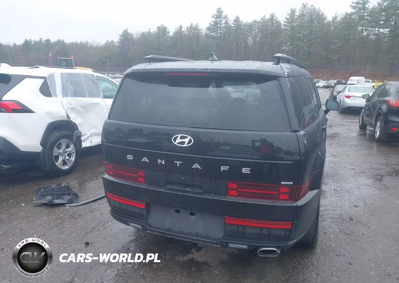 2024 Hyundai Santa Fe Sel VIN:5NMP2DGL4RH031832 - 17