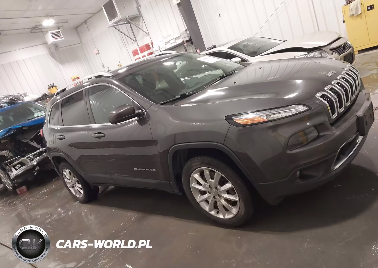 2016 Jeep Cherokee Limited VIN:1C4PJMDBXGW242378 - 13