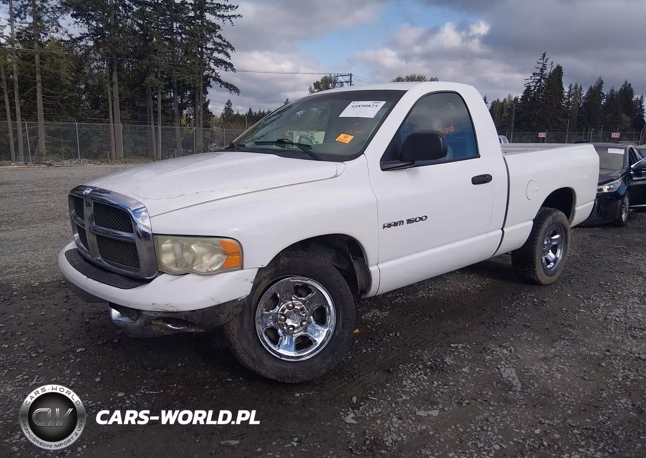 2003 Dodge Ram 1500 St VIN:1D7HA16K73J602316 - 2