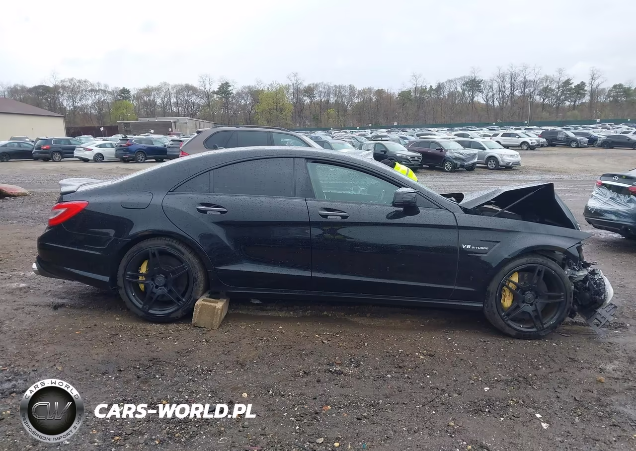 2012 Mercedes-Benz Cls 63 Amg VIN:WDDLJ7EB8CA014133 - 14