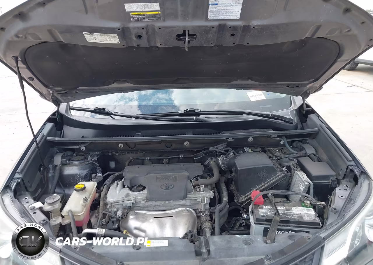 2015 Toyota Rav4 Xle VIN:2T3WFREV9FW231632 - 10