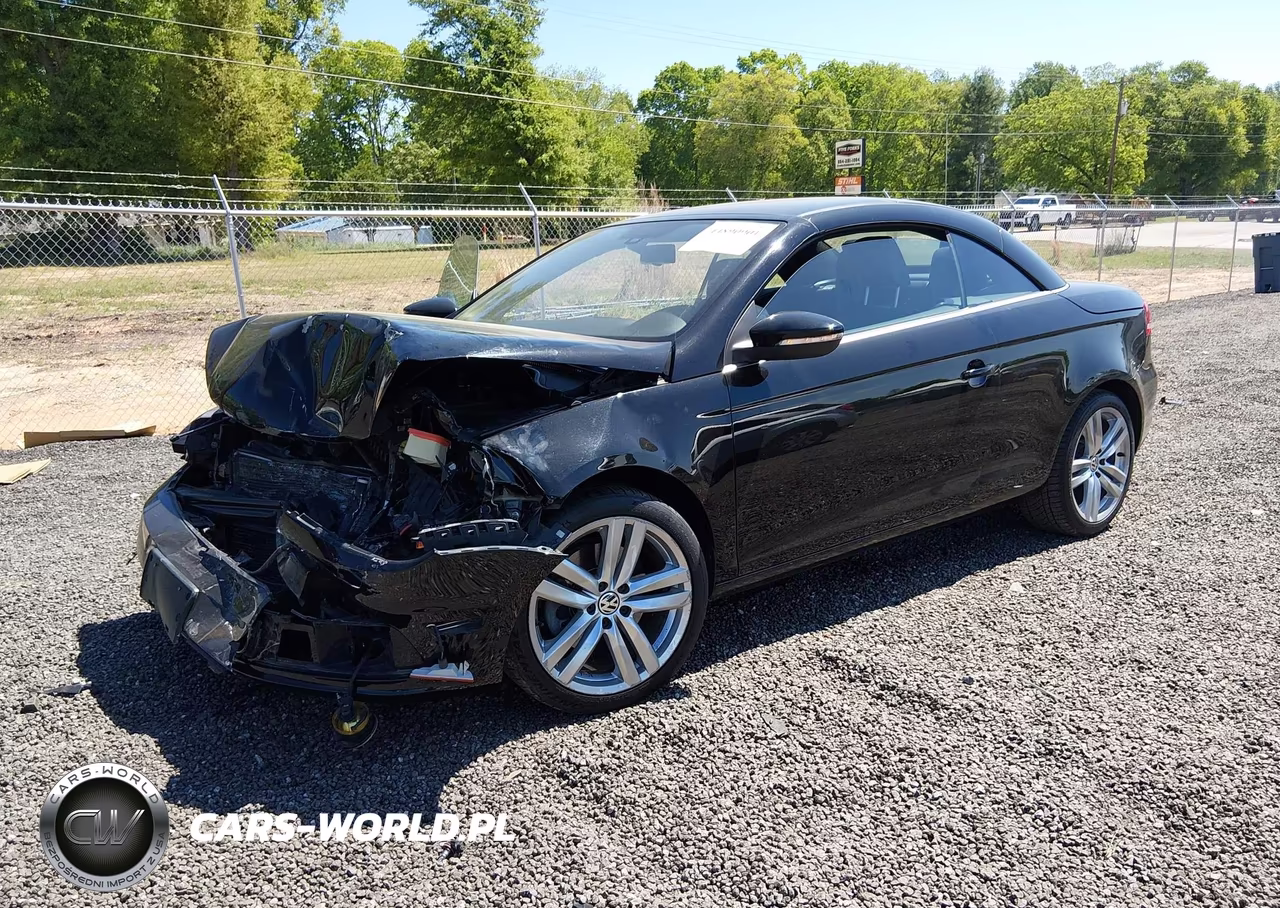 2012 Volkswagen Eos Executive-Lux VIN:WVWFW7AHXCV013318 - 2