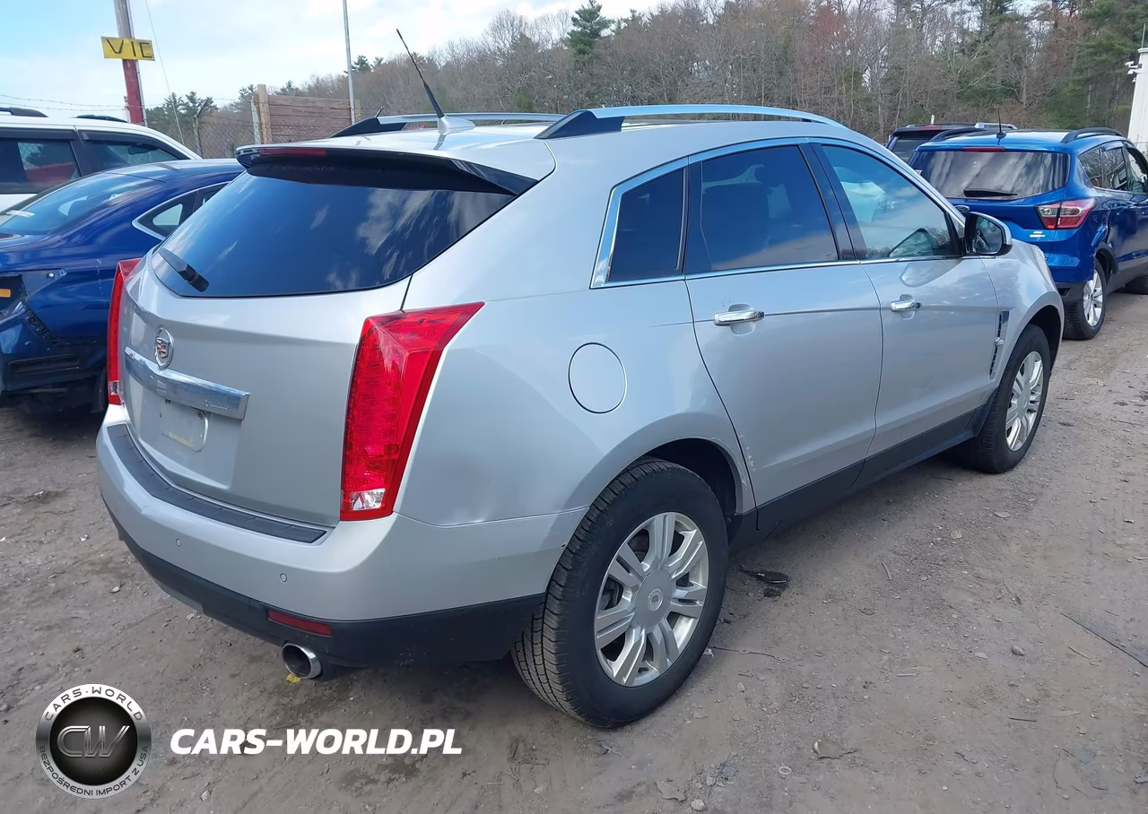 2010 Cadillac Srx Luxury Collection VIN:3GYFNAEY9AS587514 - 4