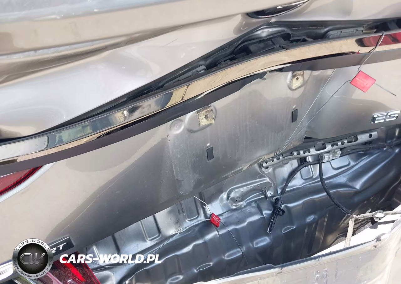 2020 Lexus Es 350 F Sport VIN:58AGZ1B18LU070993 - 19