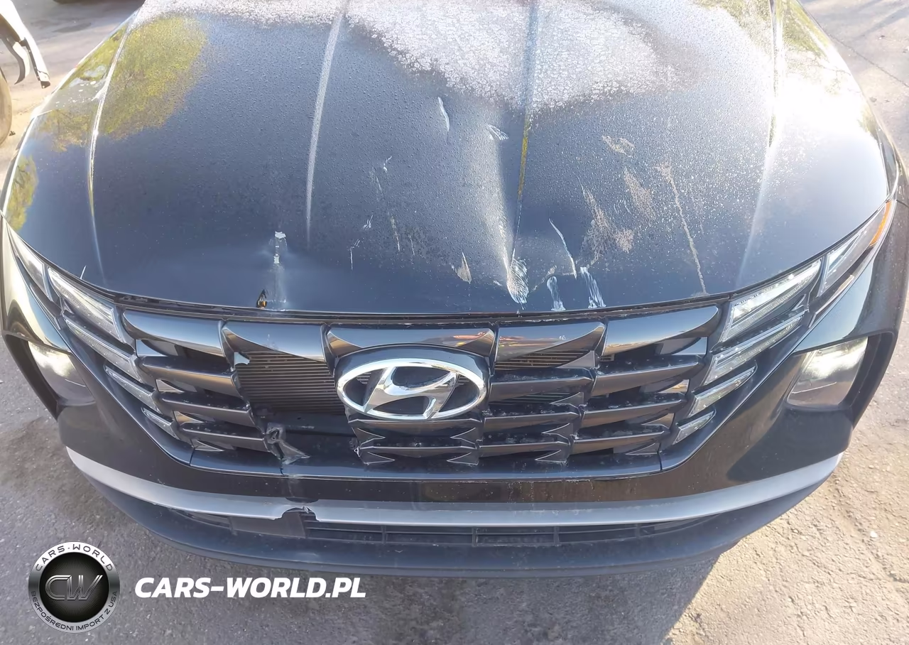 2024 Hyundai Tucson Sel VIN:5NMJBCDE2RH368523 - 17