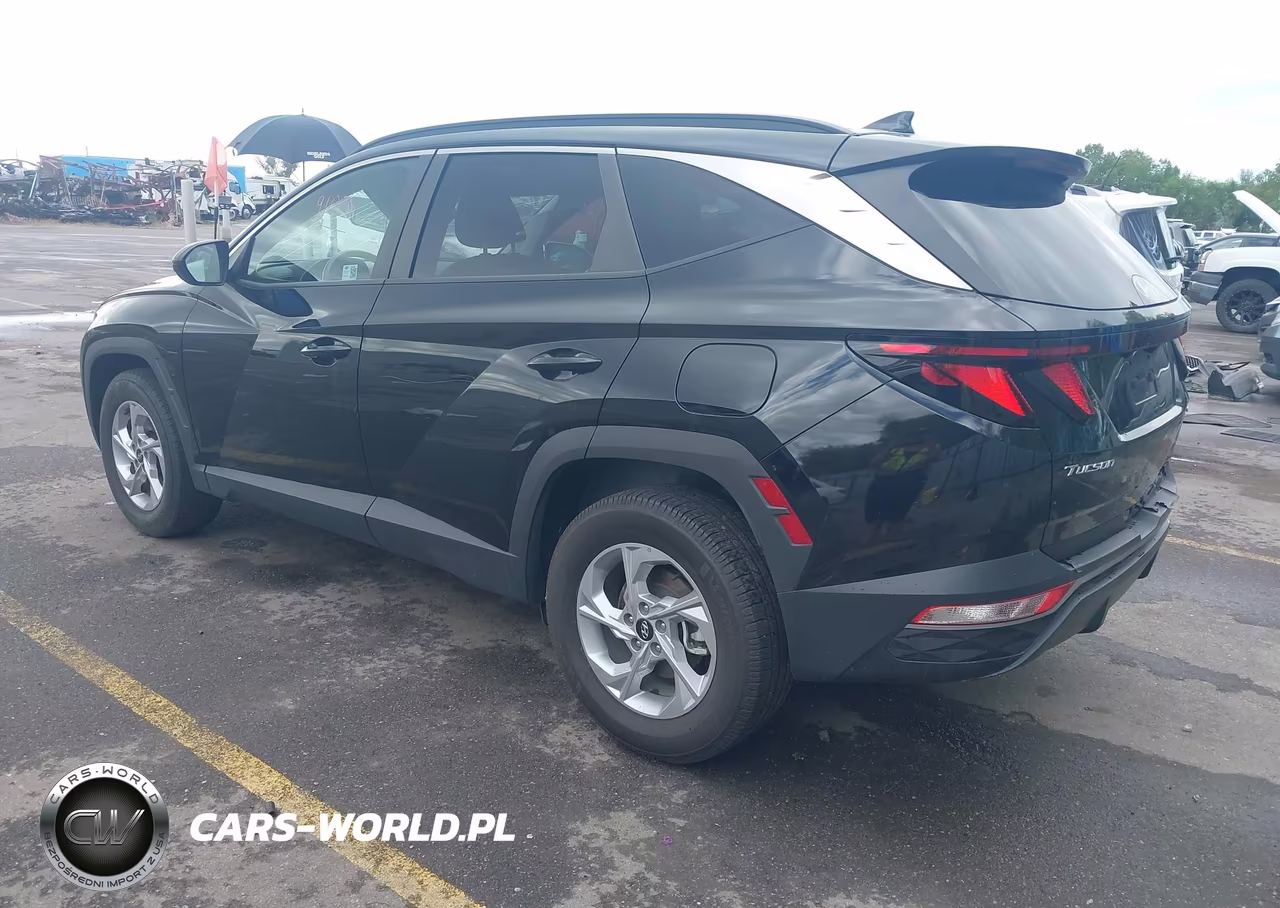 2024 Hyundai Tucson Sel VIN:5NMJBCDE2RH368523 - 3