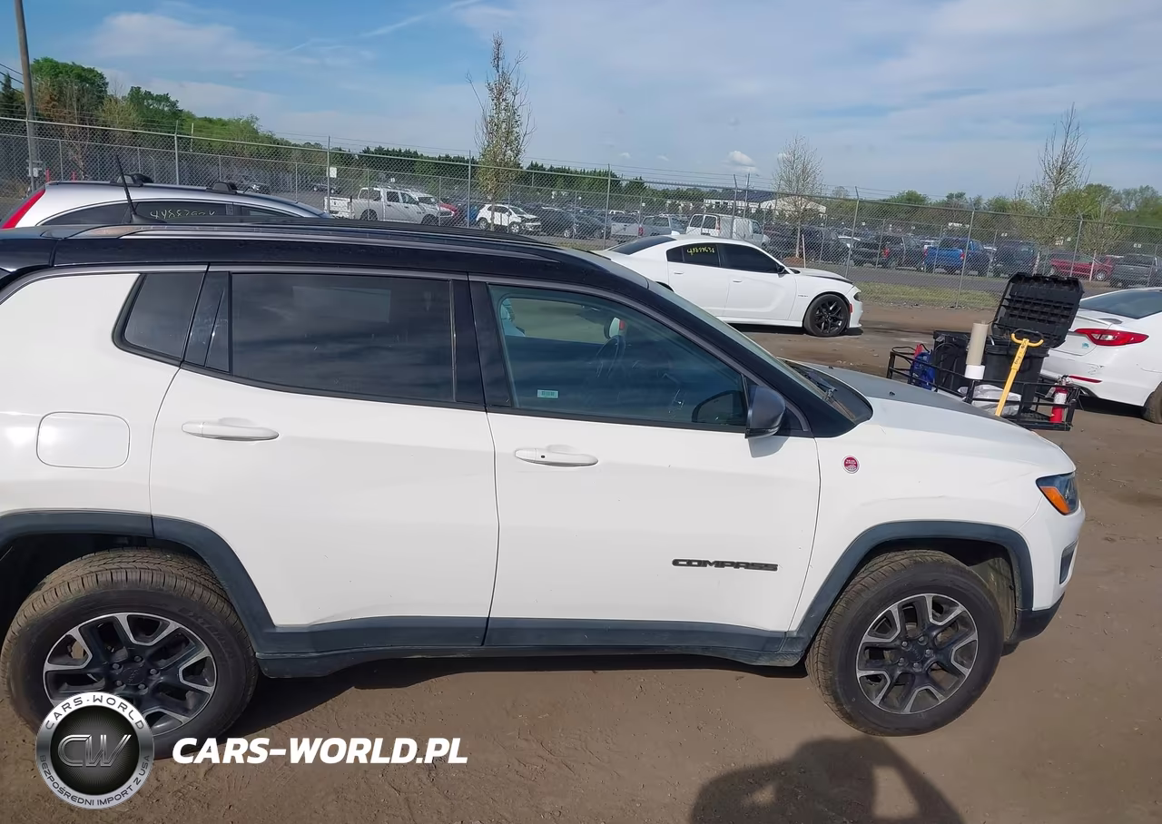 2020 Jeep Compass Trailhawk 4X4 VIN:3C4NJDDB5LT166947 - 13
