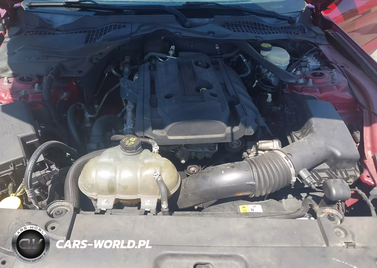 2015 Ford Mustang Ecoboost Premium VIN:1FATP8UH8F5412028 - 10