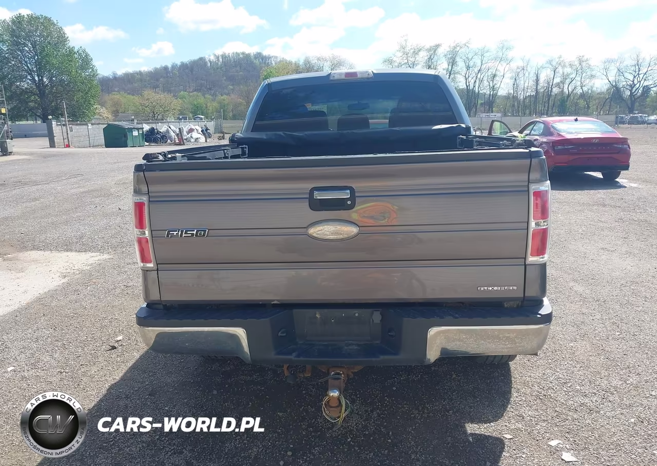 2011 Ford F-150 Xlt VIN:1FTFW1EF8BKD40483 - 16