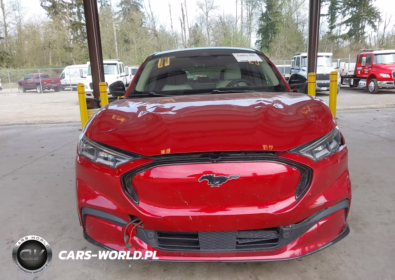 2021 Ford Mustang Mach-E Premium VIN:3FMTK3SU5MMA21059 - 12
