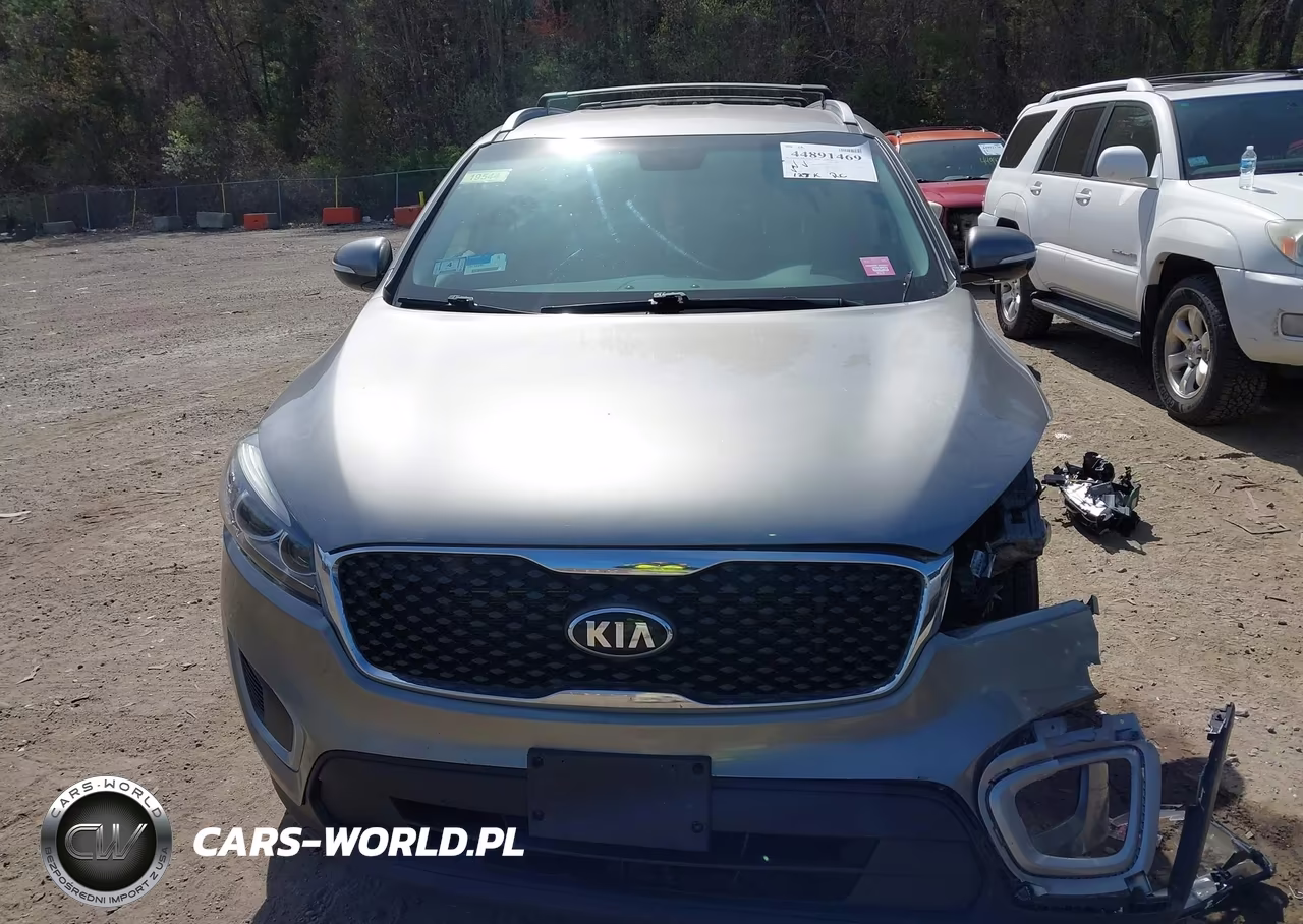 2018 Kia Sorento 2.4L Lx VIN:5XYPGDA37JG425172 - 13