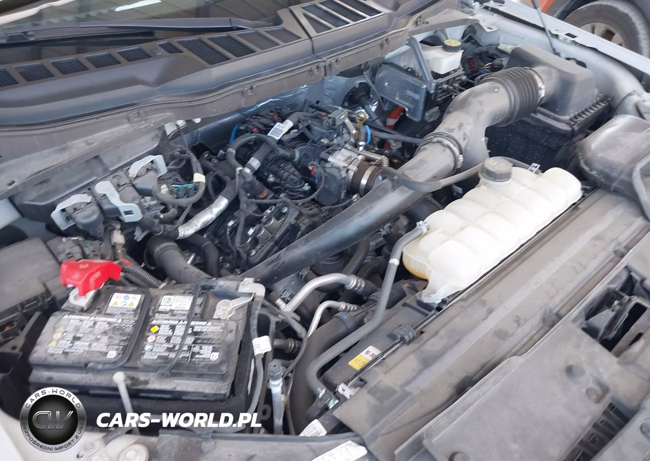 2024 Ford F-150 Stx VIN:1FTEW2KP0RKF34384 - 10