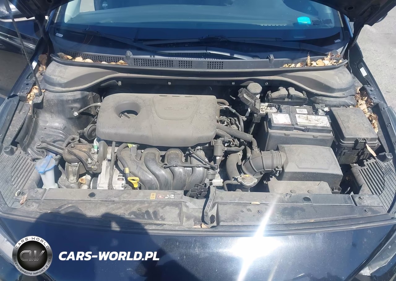 2019 Hyundai Accent Se VIN:3KPC24A35KE067727 - 10
