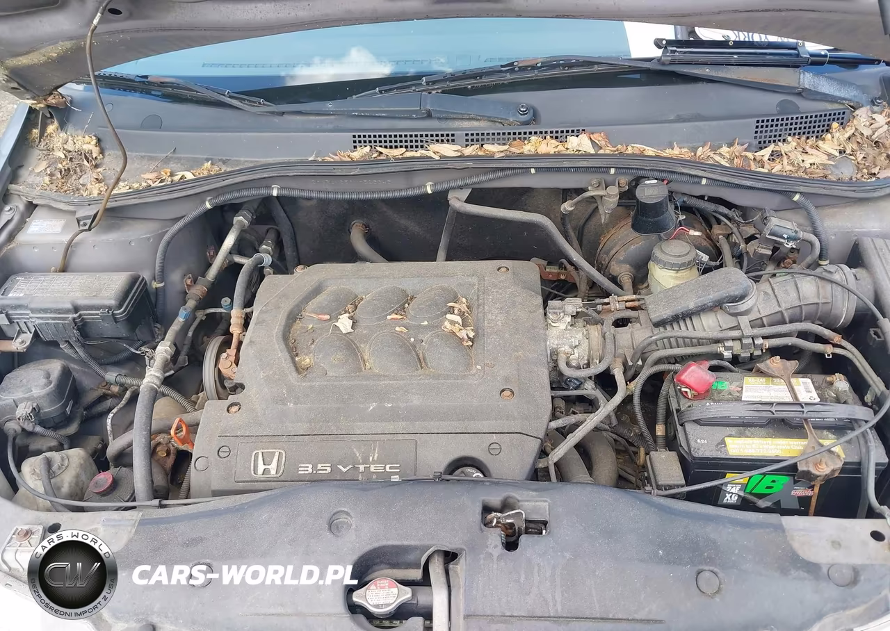 2000 Honda Odyssey Lx VIN:2HKRL1859YH523343 - 10