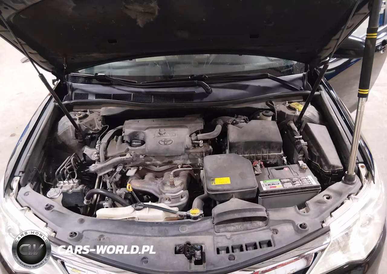 2012 Toyota Camry Xle VIN:4T1BF1FK9CU540865 - 10