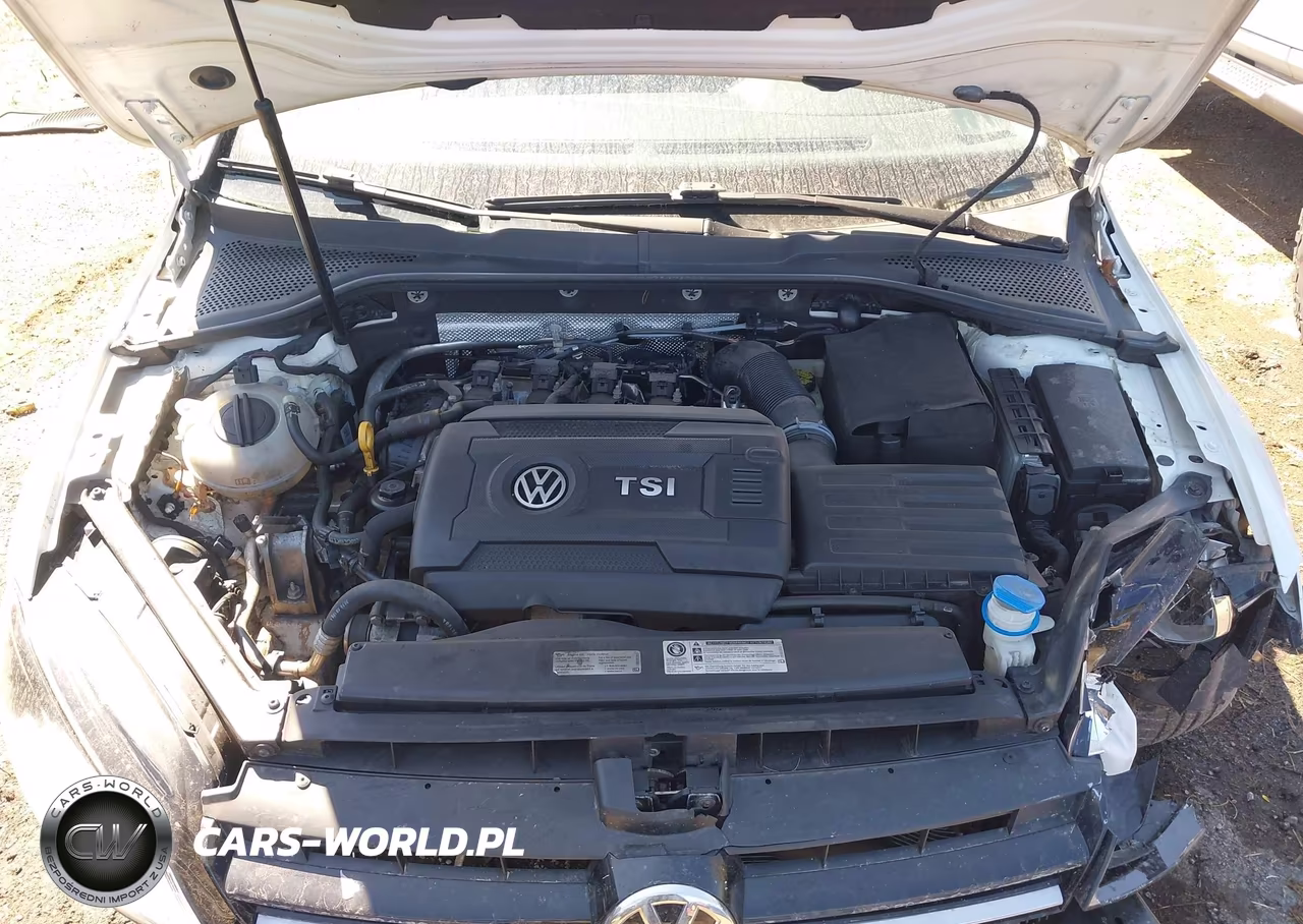 2017 Volkswagen Golf VIN:3VW217AU4HM013484 - 10