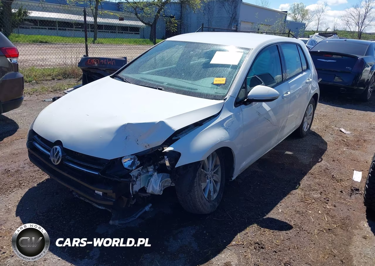 2017 Volkswagen Golf VIN:3VW217AU4HM013484 - 2