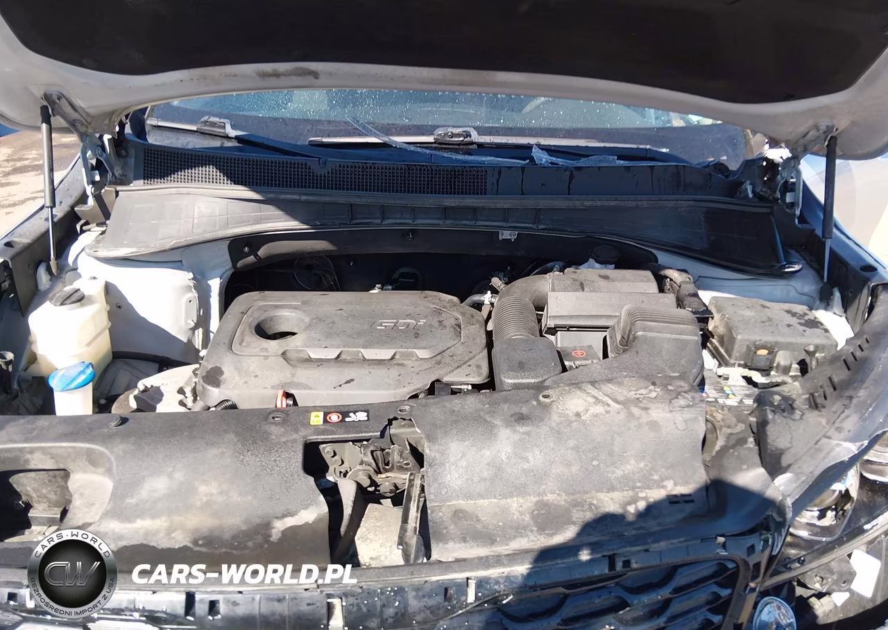 2019 Kia Sorento 2.4L L VIN:5XYPG4A37KG581259 - 10