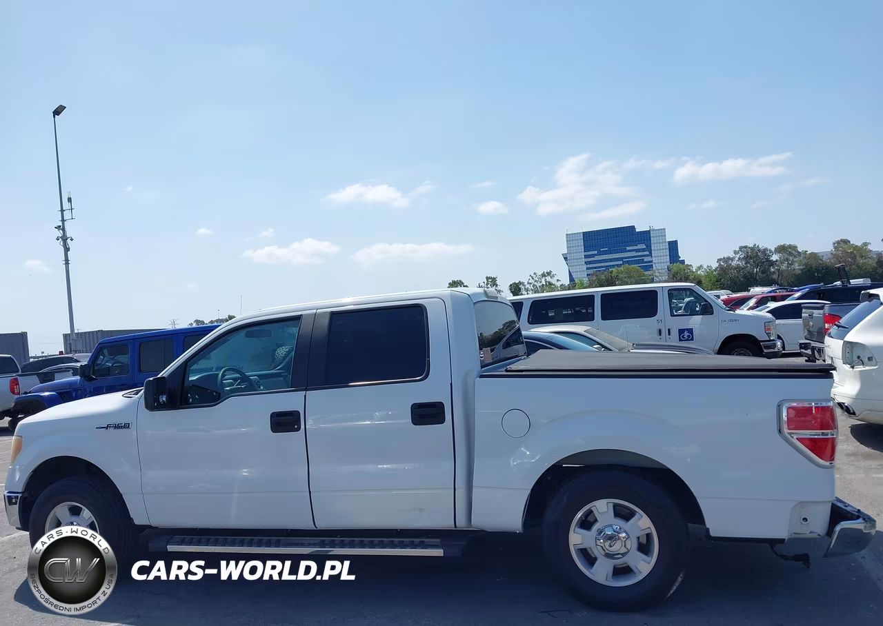 2010 Ford F-150 Fx2 Sport-Xl-Xlt VIN:1FTEW1C85AFA15023 - 15