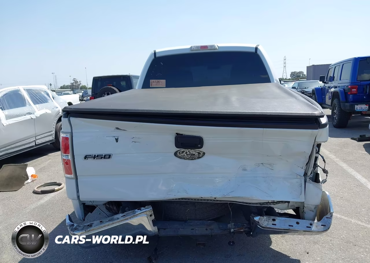 2010 Ford F-150 Fx2 Sport-Xl-Xlt VIN:1FTEW1C85AFA15023 - 17