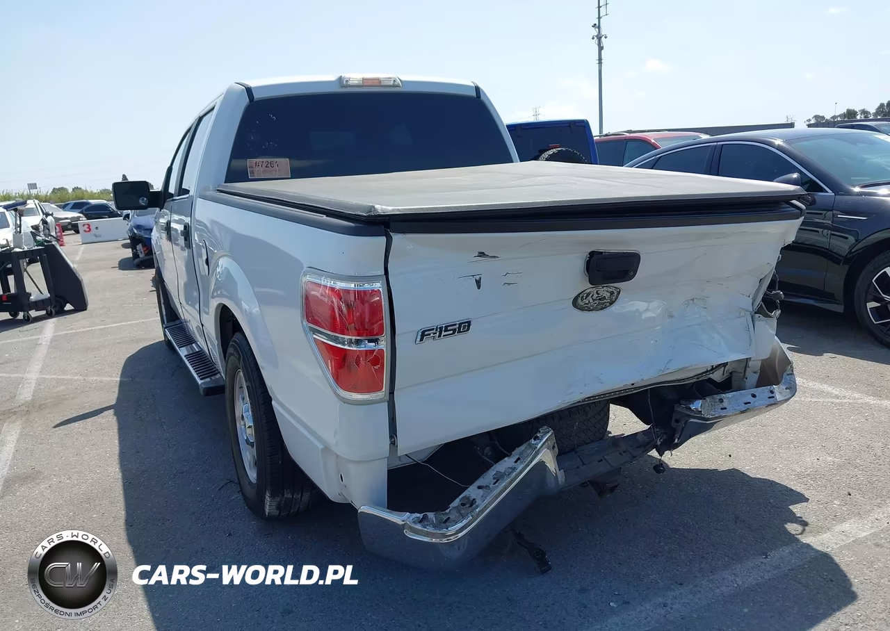 2010 Ford F-150 Fx2 Sport-Xl-Xlt VIN:1FTEW1C85AFA15023 - 3