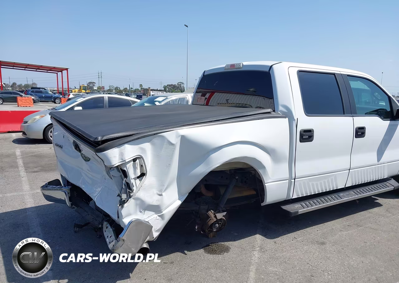 2010 Ford F-150 Fx2 Sport-Xl-Xlt VIN:1FTEW1C85AFA15023 - 6