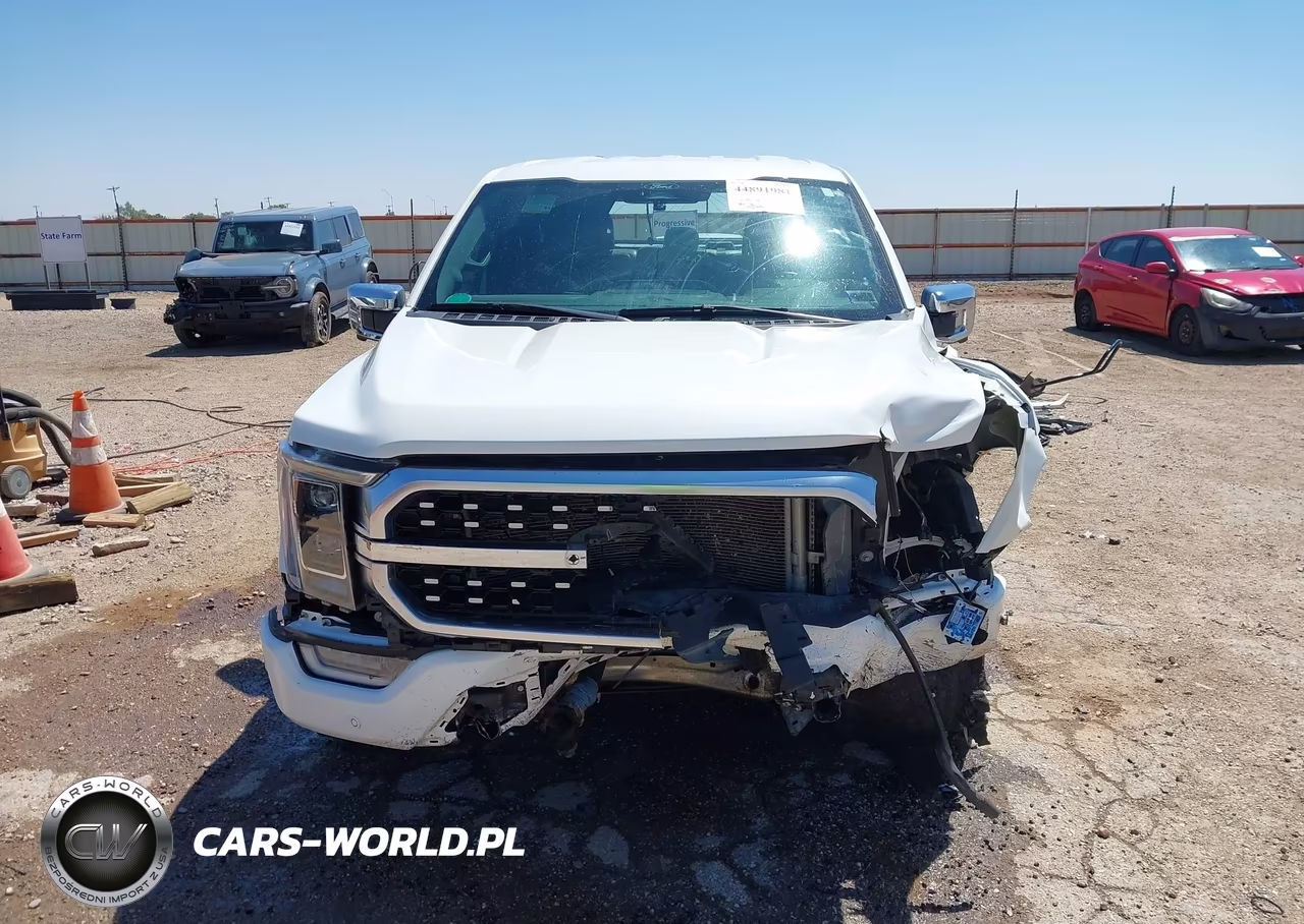 2022 Ford F-150 Platinum VIN:1FTFW1E83NFC37678 - 13