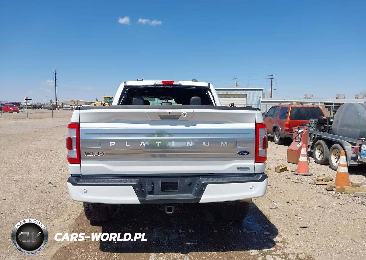 2022 Ford F-150 Platinum VIN:1FTFW1E83NFC37678 - 17
