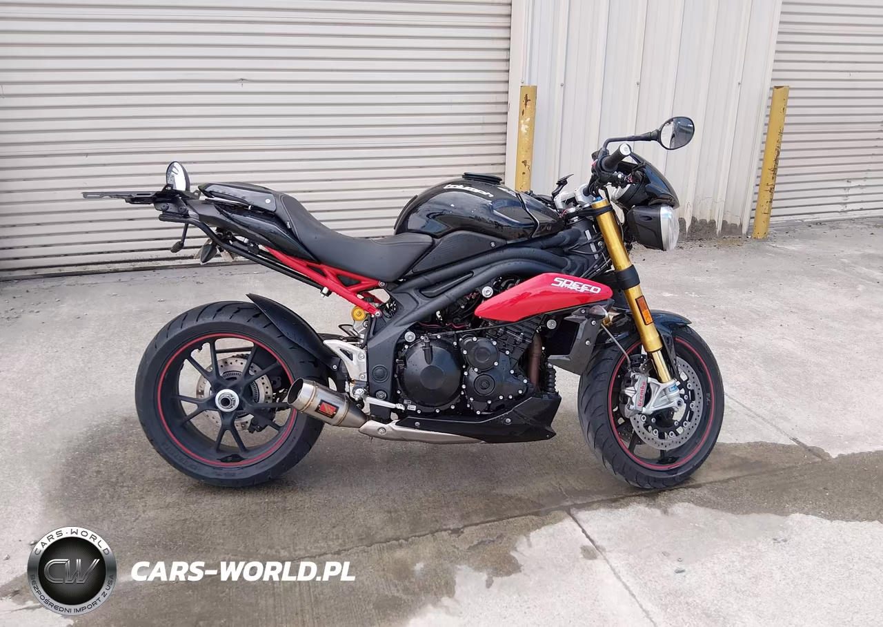 2014 Triumph Motorcycle Speed Triple R Abs VIN:SMTN03PK1ET616926 - 12