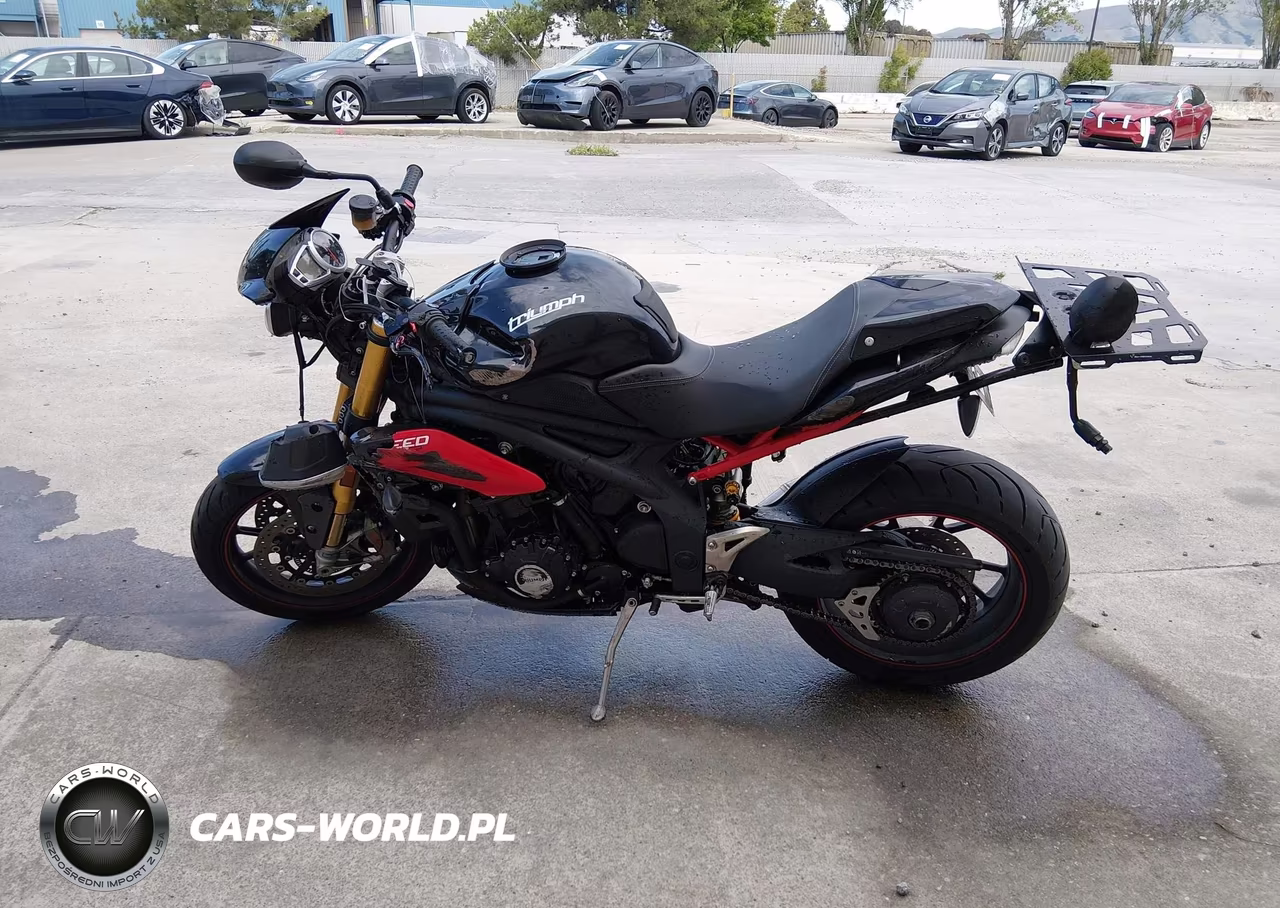 2014 Triumph Motorcycle Speed Triple R Abs VIN:SMTN03PK1ET616926 - 13