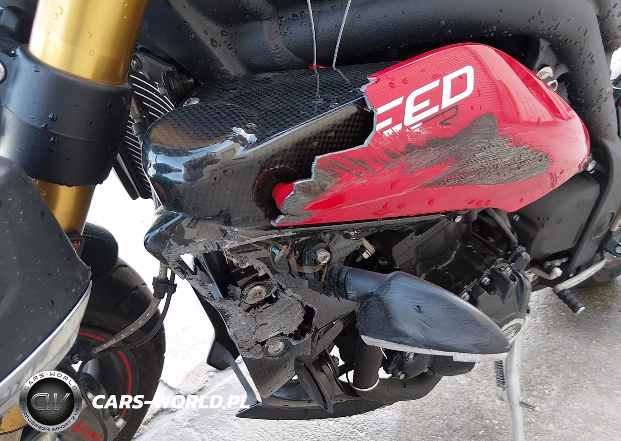 2014 Triumph Motorcycle Speed Triple R Abs VIN:SMTN03PK1ET616926 - 14