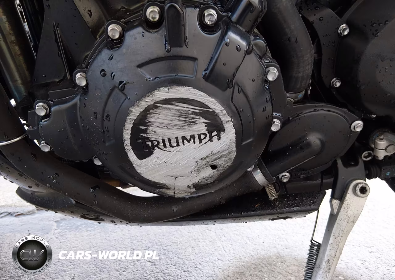 2014 Triumph Motorcycle Speed Triple R Abs VIN:SMTN03PK1ET616926 - 16