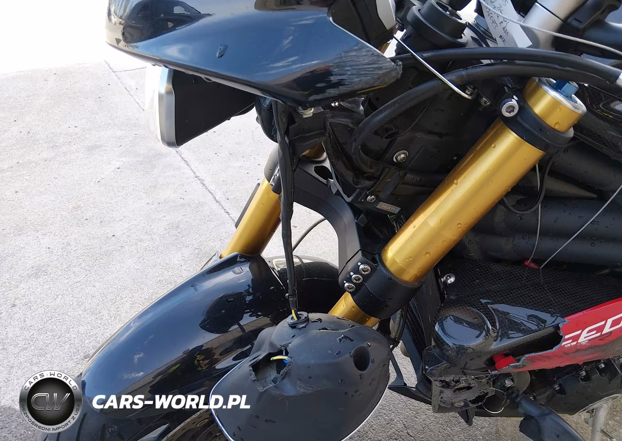 2014 Triumph Motorcycle Speed Triple R Abs VIN:SMTN03PK1ET616926 - 18