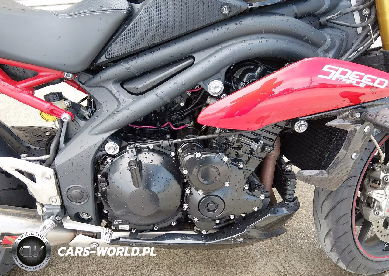 2014 Triumph Motorcycle Speed Triple R Abs VIN:SMTN03PK1ET616926 - 8
