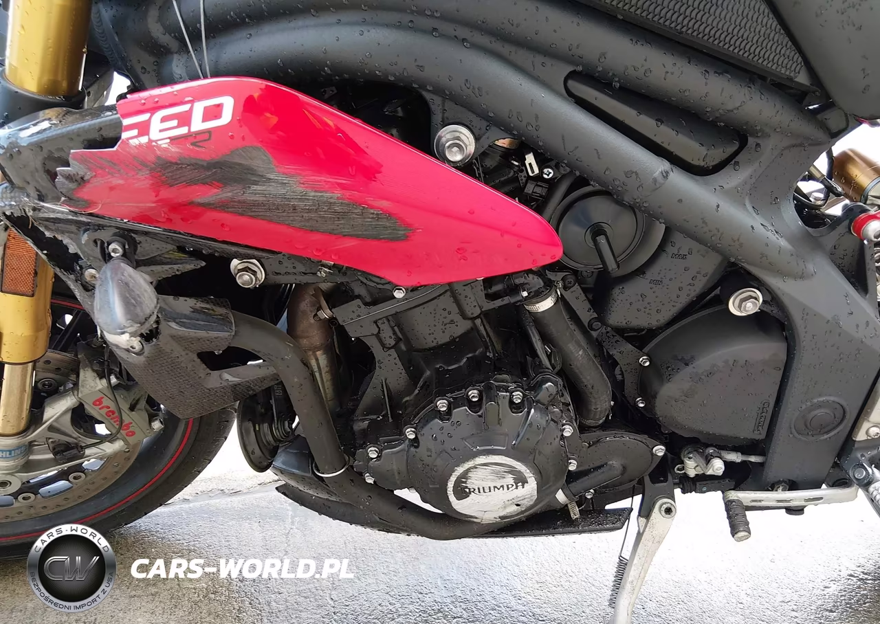 2014 Triumph Motorcycle Speed Triple R Abs VIN:SMTN03PK1ET616926 - 9