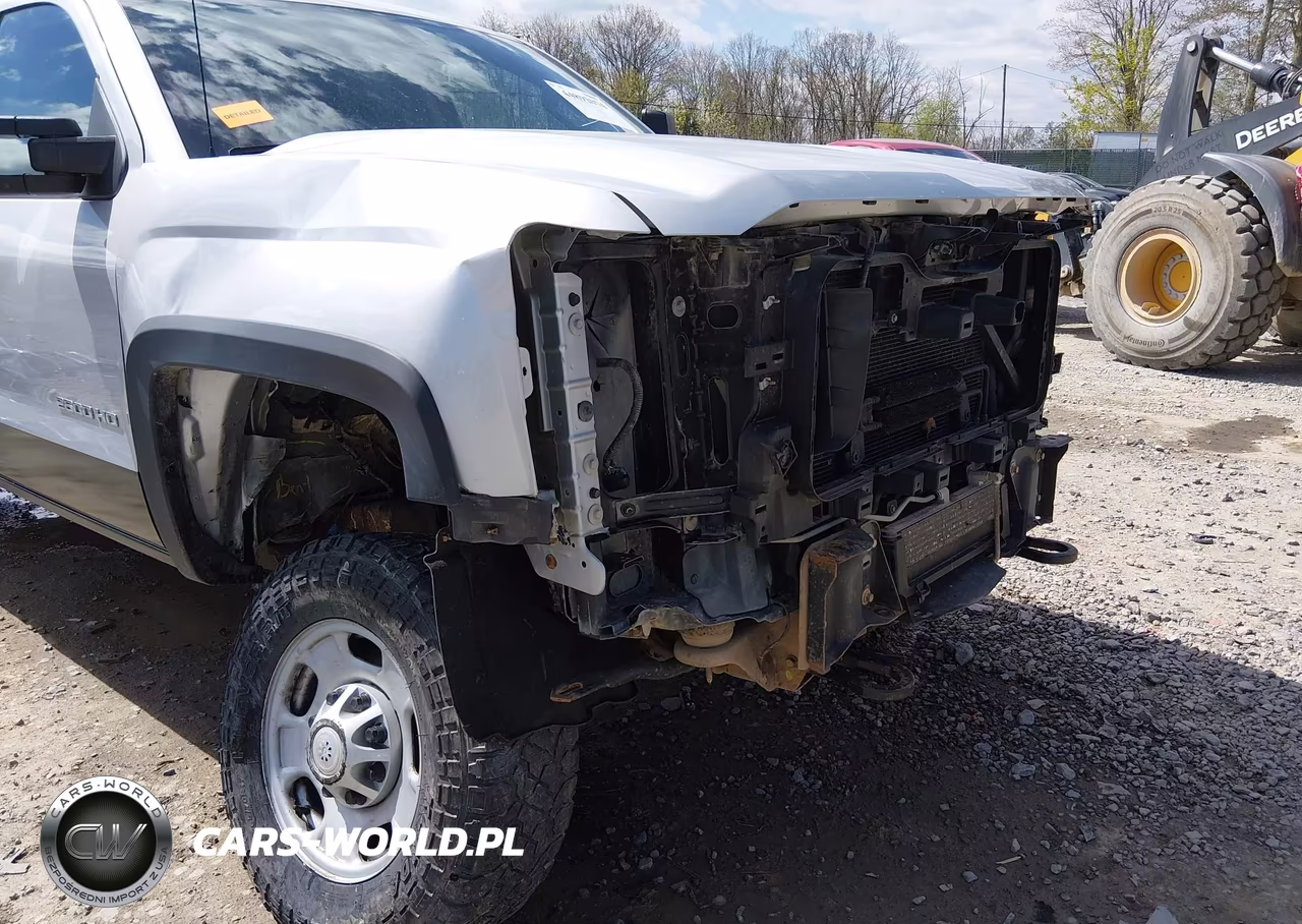2017 Chevrolet Silverado 2500Hd Wt VIN:1GC2KUEG3HZ238853 - 18