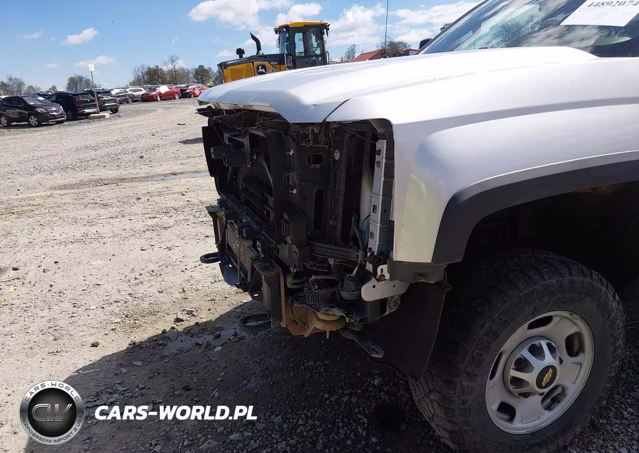 2017 Chevrolet Silverado 2500Hd Wt VIN:1GC2KUEG3HZ238853 - 19