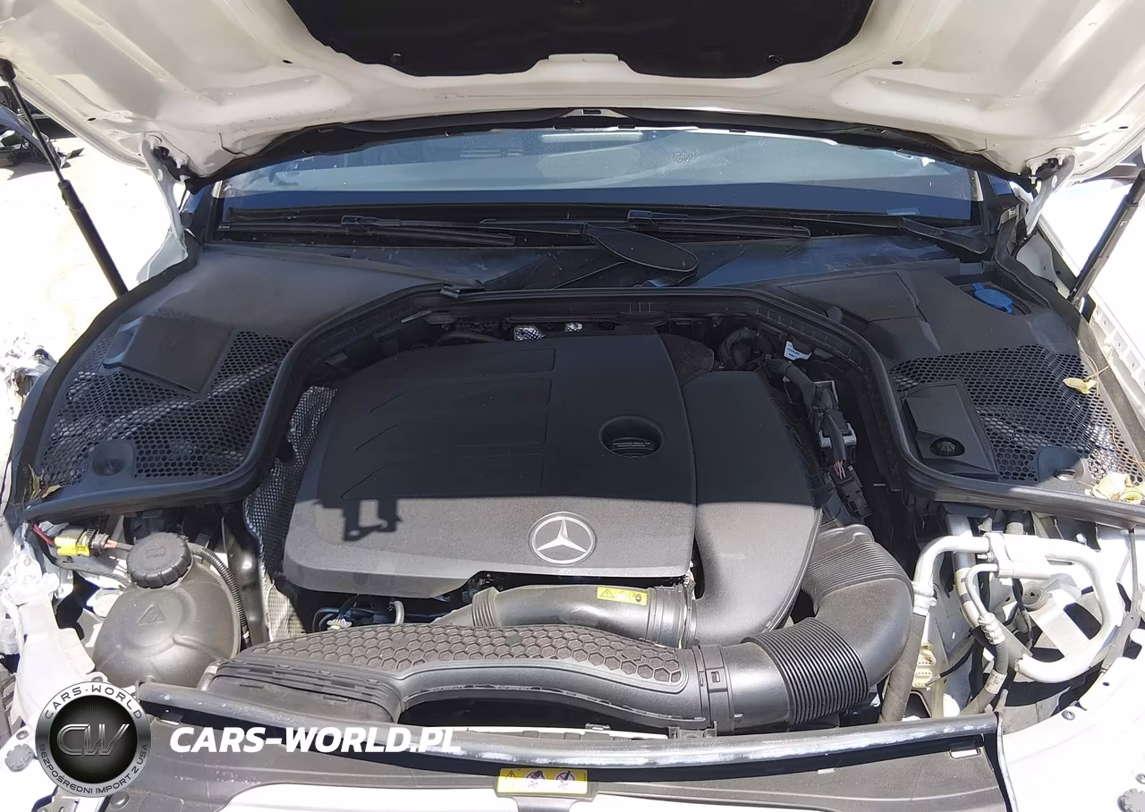 2019 Mercedes-Benz C 300 VIN:55SWF8DB8KU316316 - 10