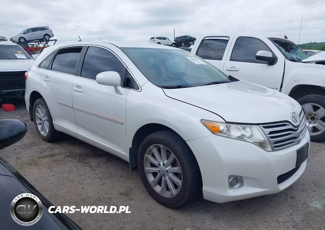 2009 Toyota Venza VIN:4T3ZE11A09U010591 - 13