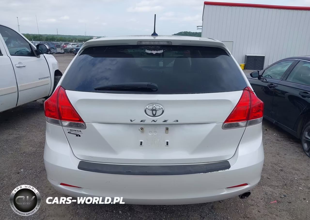 2009 Toyota Venza VIN:4T3ZE11A09U010591 - 16