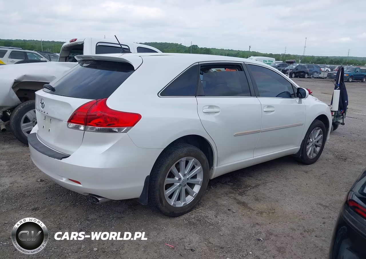 2009 Toyota Venza VIN:4T3ZE11A09U010591 - 4