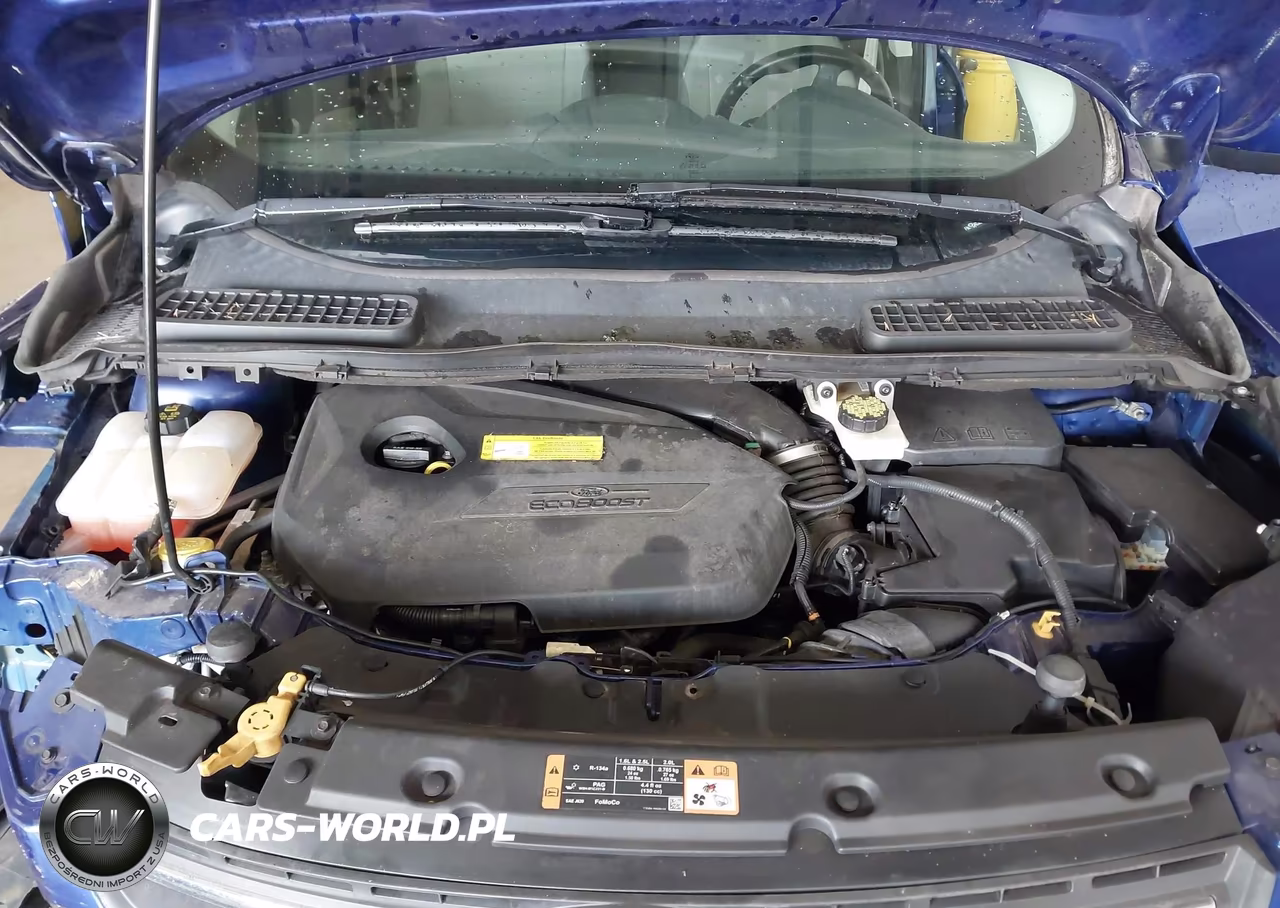 2016 Ford Escape Se VIN:1FMCU9GX9GUC59433 - 10