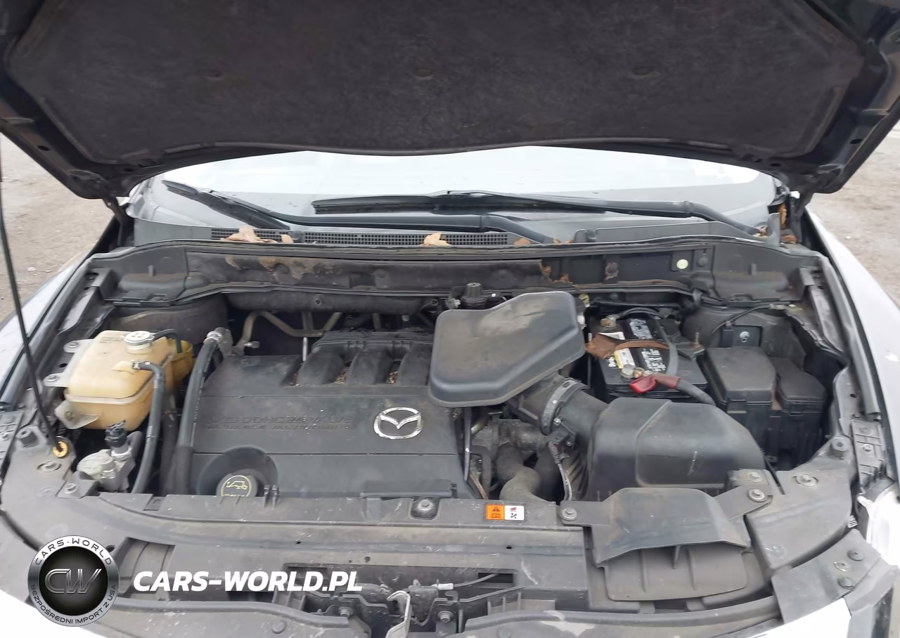2010 Mazda Cx-9 Touring VIN:JM3TB3MV2A0202992 - 10