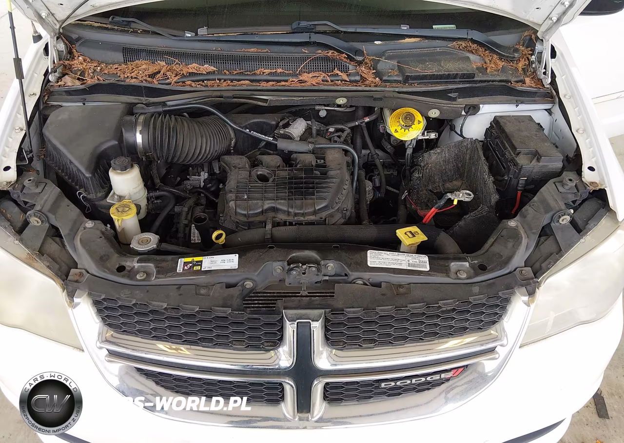 2014 Dodge Grand Caravan Se VIN:2C4RDGBG0ER145521 - 10